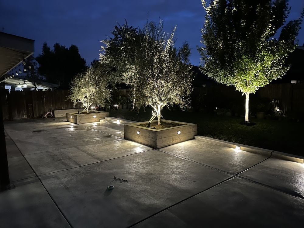 Illuminated courtyard with trees in raised planters and stone paving at night