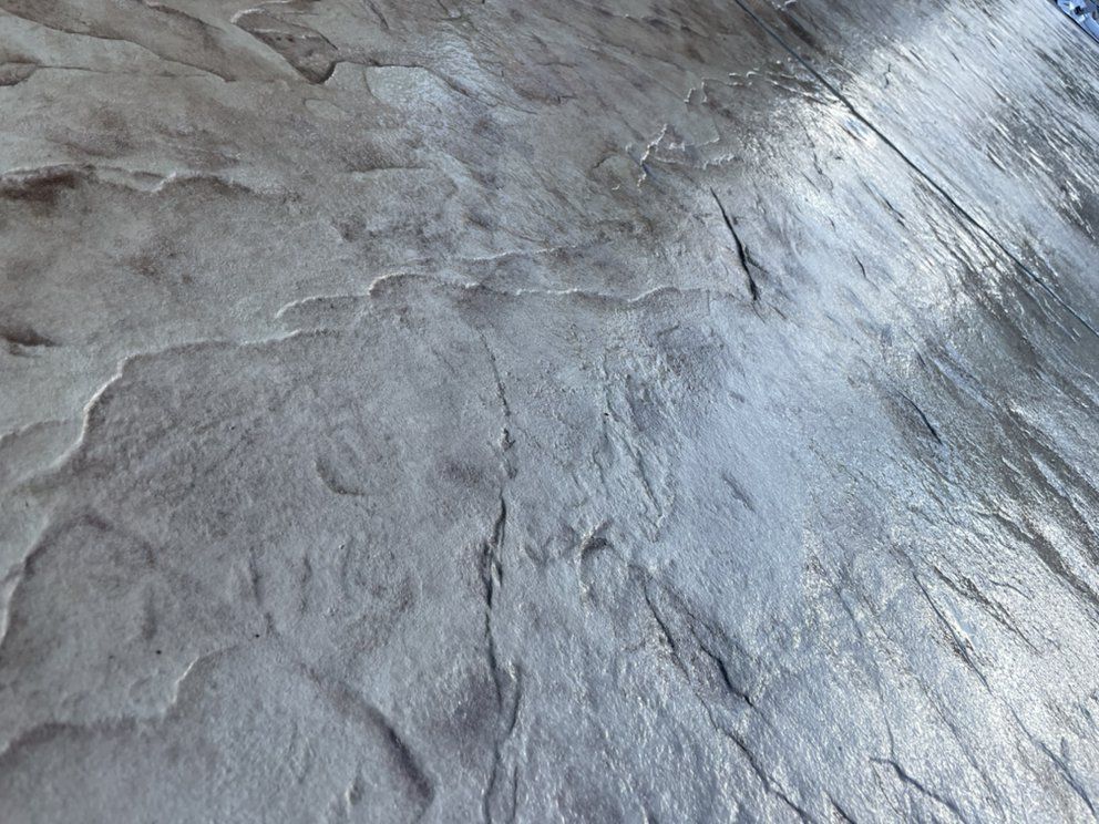Close-up of a gray, textured rock surface with layered striations and rough patterns