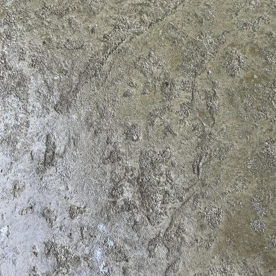 Close-up of a gray, weathered stone surface with mottled texture and light patches