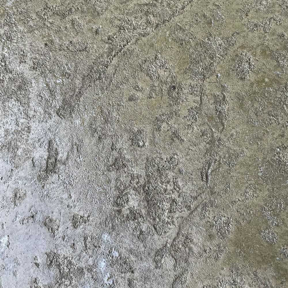 Close-up of a gray, weathered stone surface with mottled texture and pale streaks