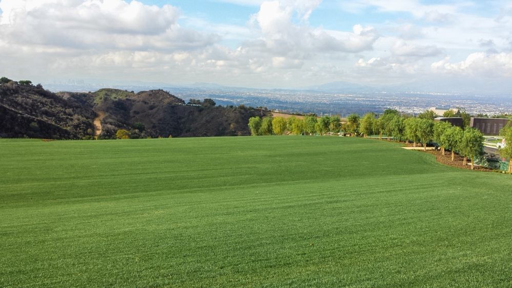 Canyon View Creekside Field View — San Clemente, CA — Consolidated Contracting