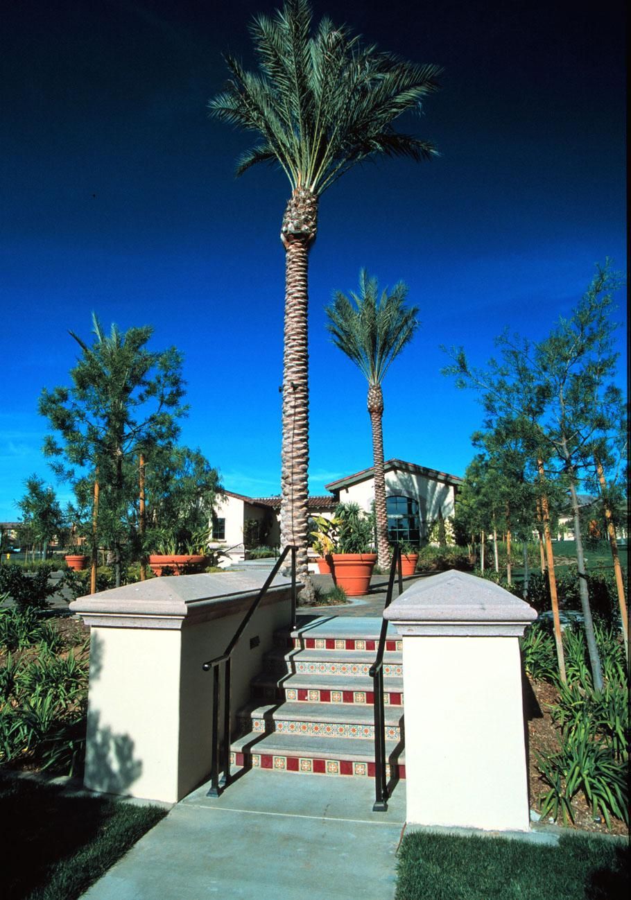 Northpark #3 Park — San Clemente, CA — Consolidated Contracting