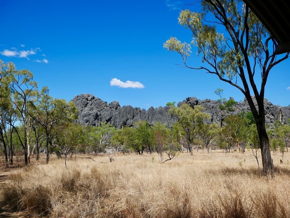 A Field With Trees and Mountains in the Background — DGC Tech Solutions In Atherton, QLD