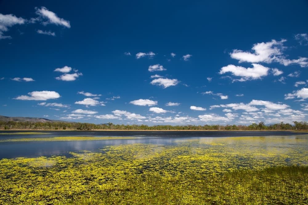 A Large Body of Water With a Blue Sky — DGC Tech Solutions In Mareeba, QLD