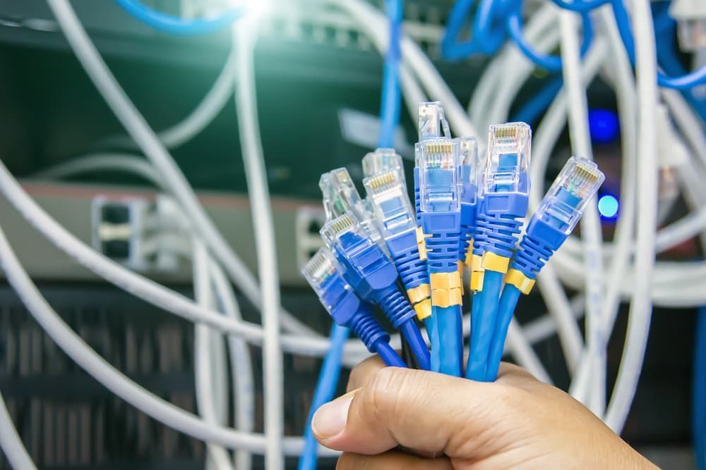 A Person is Holding a Bunch of Ethernet Cables in Their Hand — DGC Tech Solutions In Mareeba, QLD