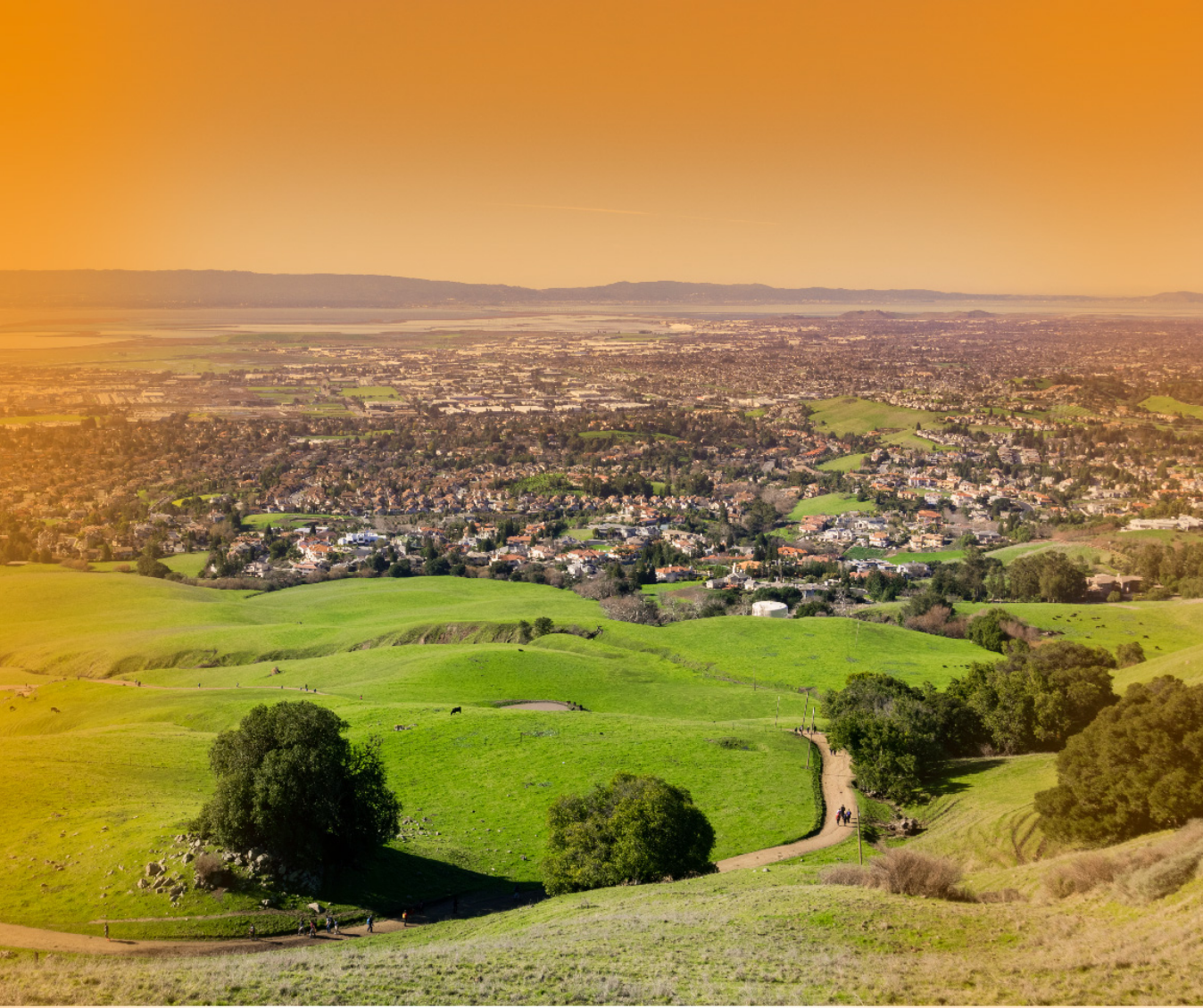 A view of green hills and residential areas in California