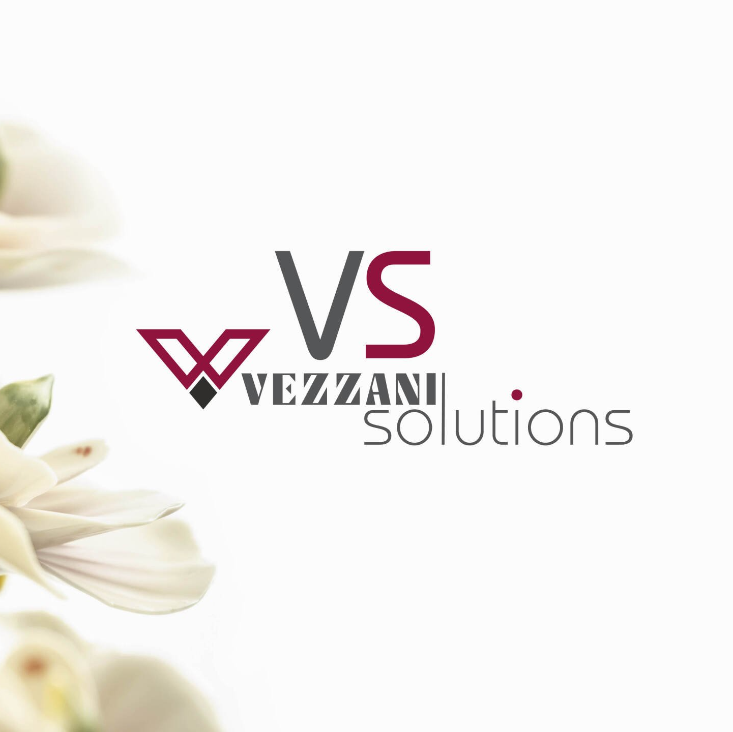 scritta vezzani solutions