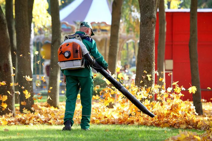 A man is blowing leaves in a park with a backpack blower.