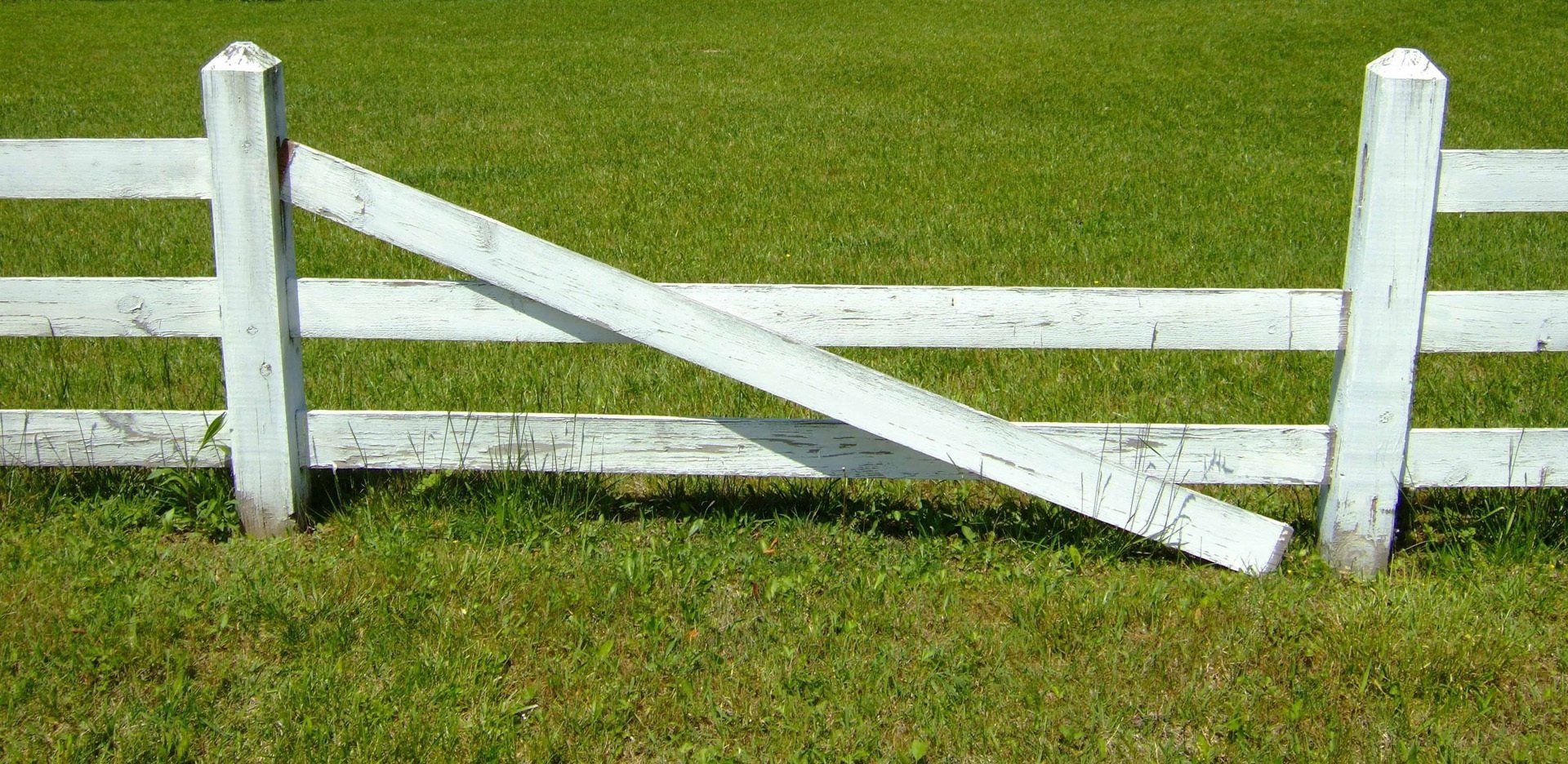 Fence repair Raleigh NC
