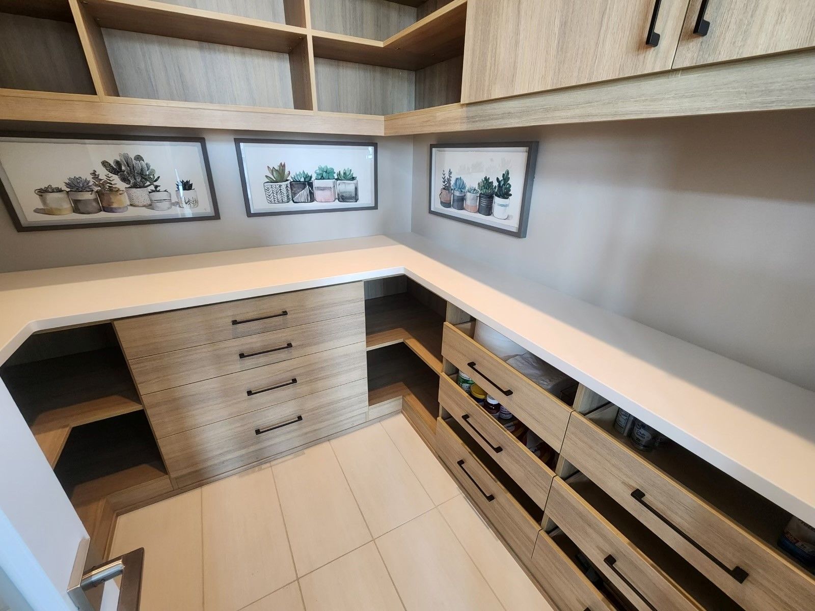 A walk in closet with lots of drawers and shelves.