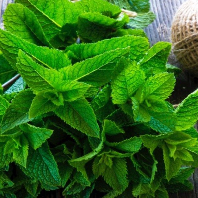 Verse groene muntblaadjes op een houten ondergrond, met een bolletje touw zichtbaar op de achtergrond.
