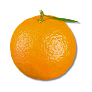 Orange fruit with a green leaf on a white background