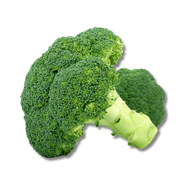 Three fresh broccoli florets on a white background