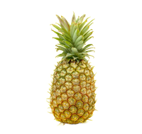 Whole pineapple with green crown on a white background
