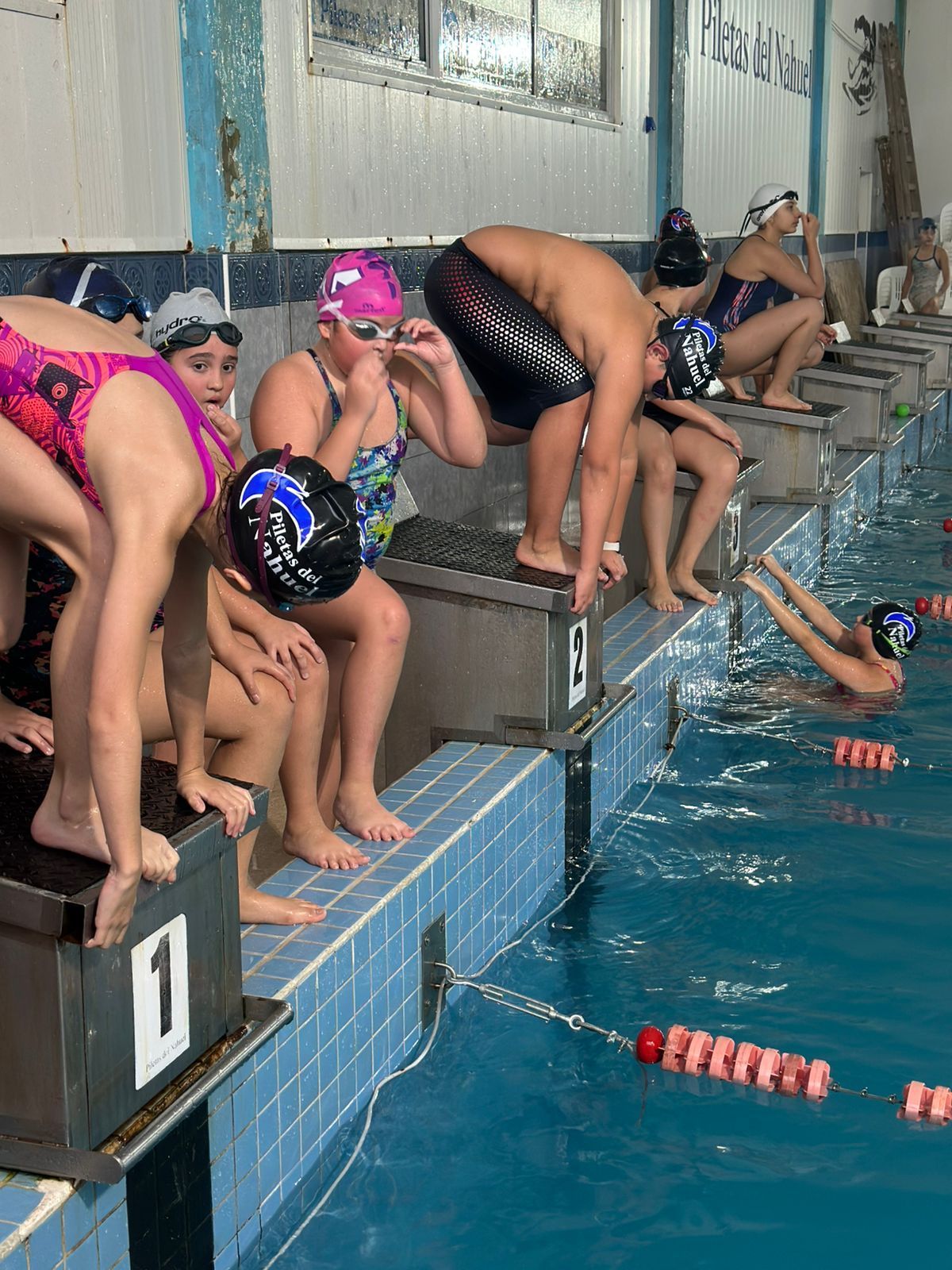 Nadadores en los bloques de salida de una piscina, uno de ellos zambulléndose. Llevan gorros y trajes de baño, preparándose para la carrera.