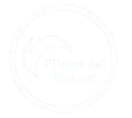 Logotipo circular blanco con forma de pájaro y texto