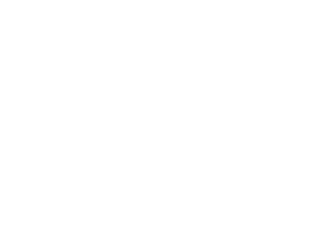 Precision Roofing Group Logo
