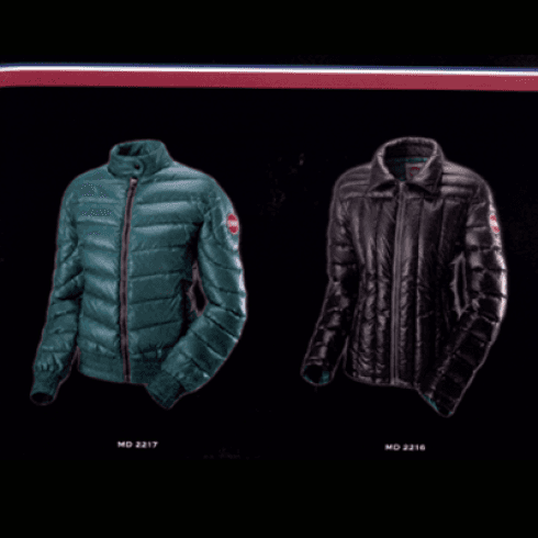 rivenditore lacoste