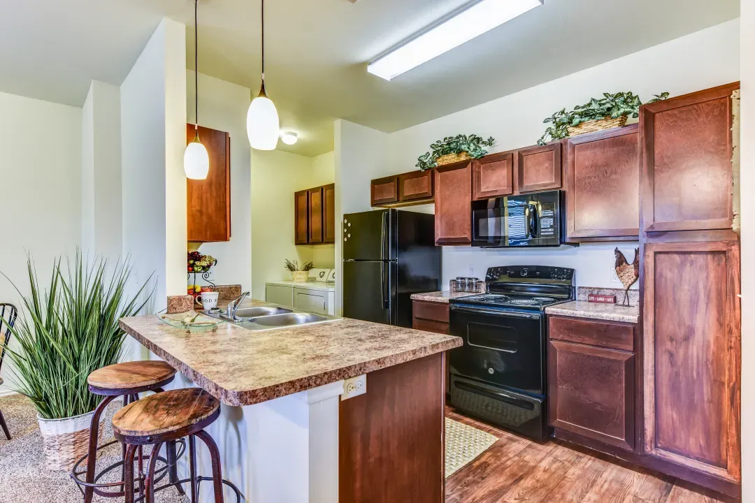 Black Modern Kitchen  Appliances