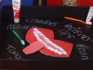 Dentistry lesson display