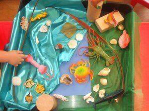 Sea life display