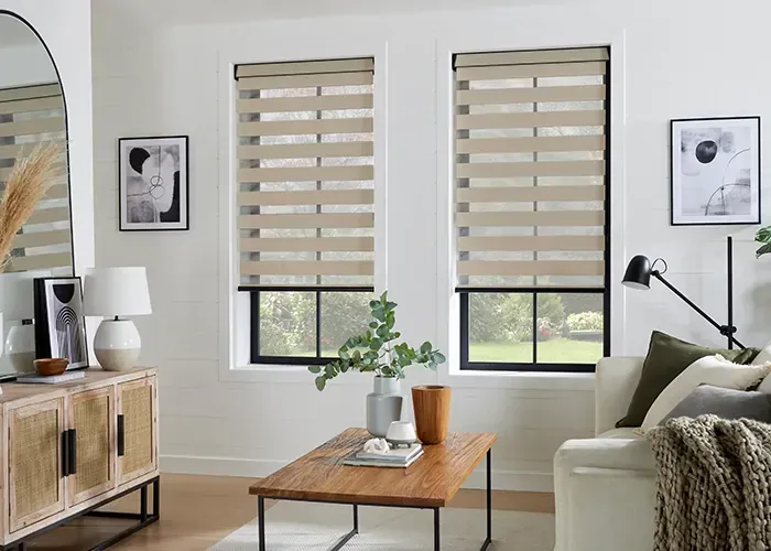 A bright, modern living room featuring two windows with layered beige zebra blinds, a wood coffee table, and a sideboard.