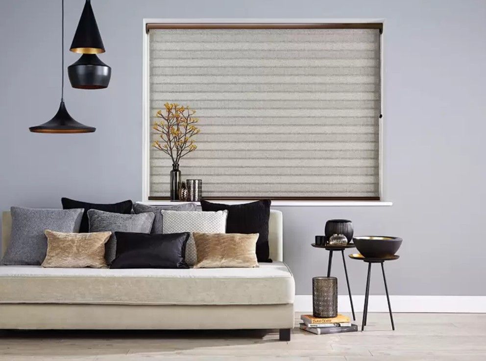 Vision blinds for day and night privacy control