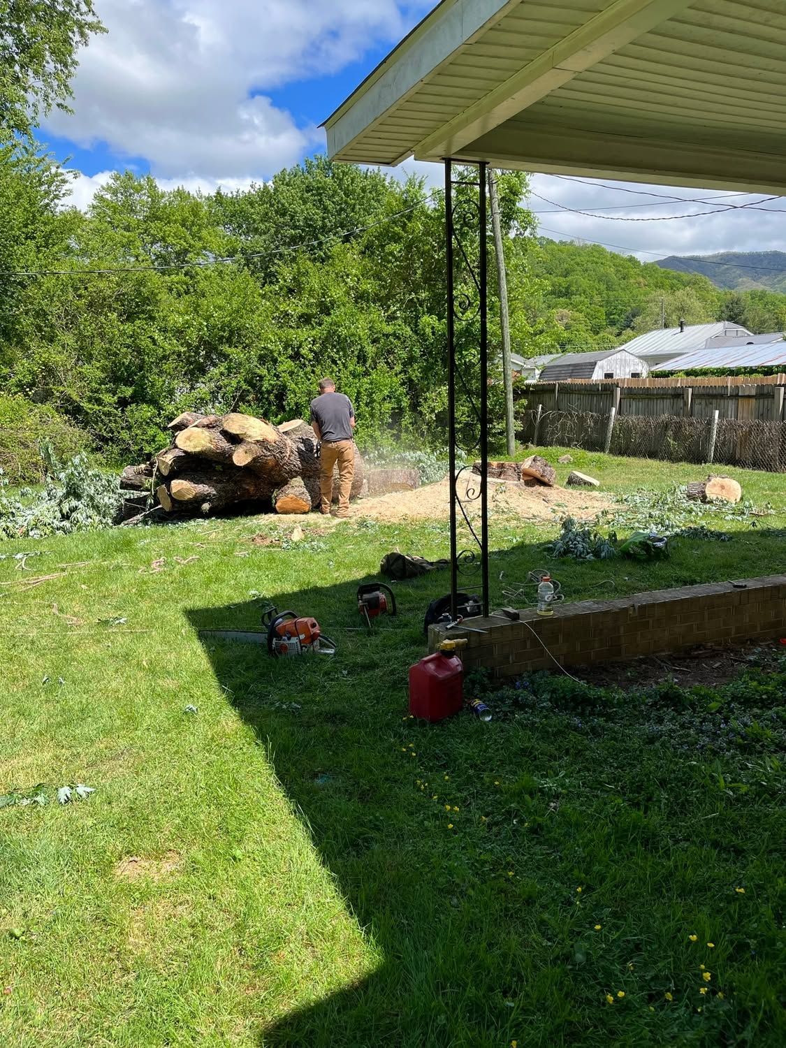 Backyard with cut logs, a grassy lawn, and a shaded patio under a blue sky