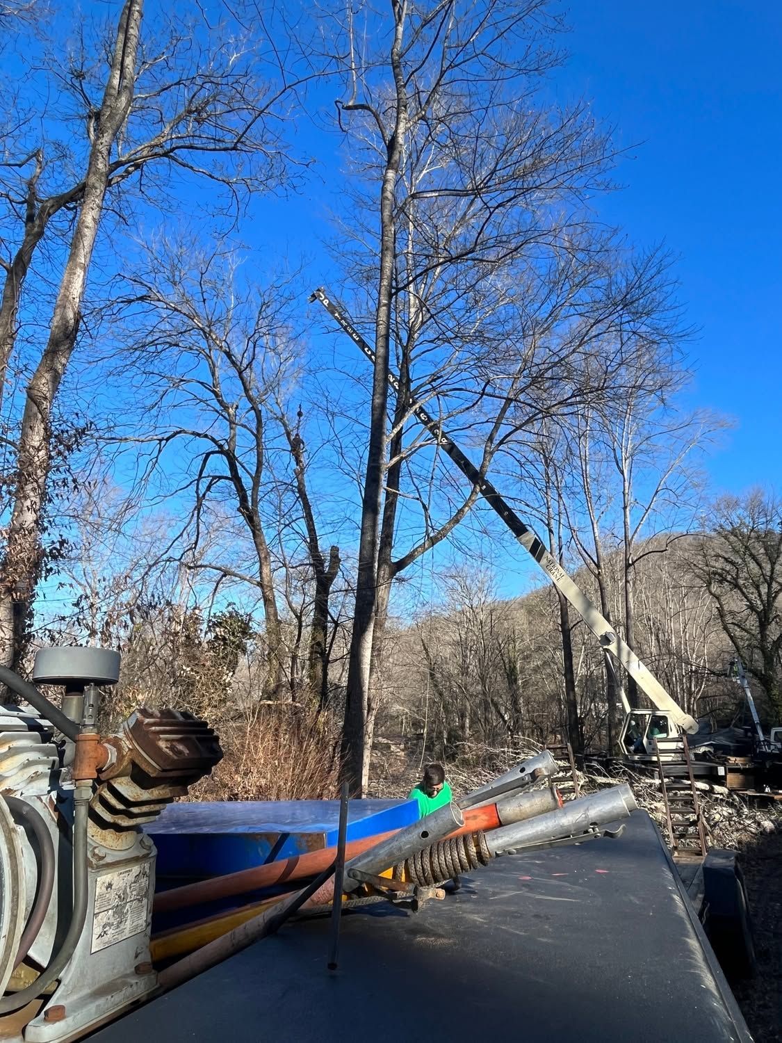 Damaged wooden boats and debris along a riverbank beneath bare trees and blue sky