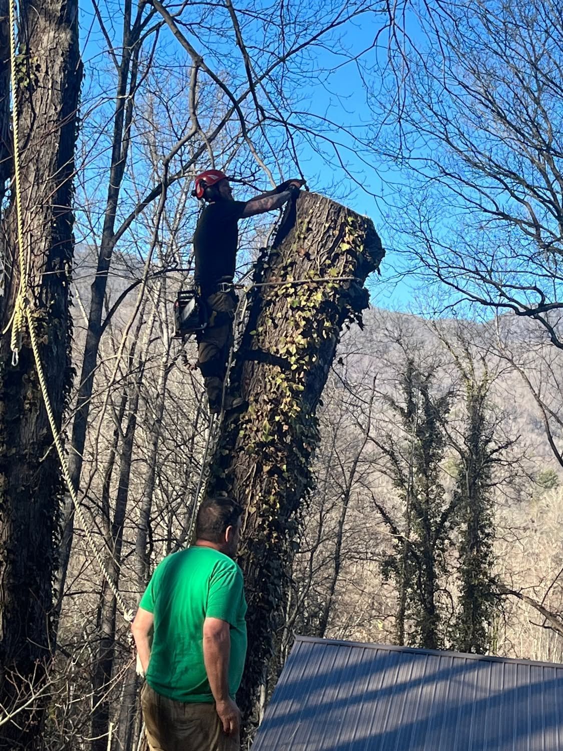 Two climbers on a large tree trunk in a wooded area, one in red at the top and one in green below.