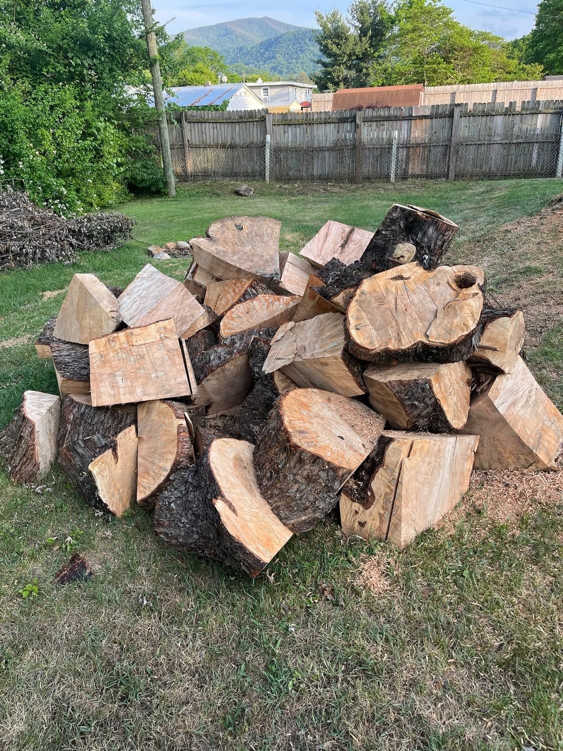 Pile of split firewood stacked on grass in a backyard, with a fence and trees in the background