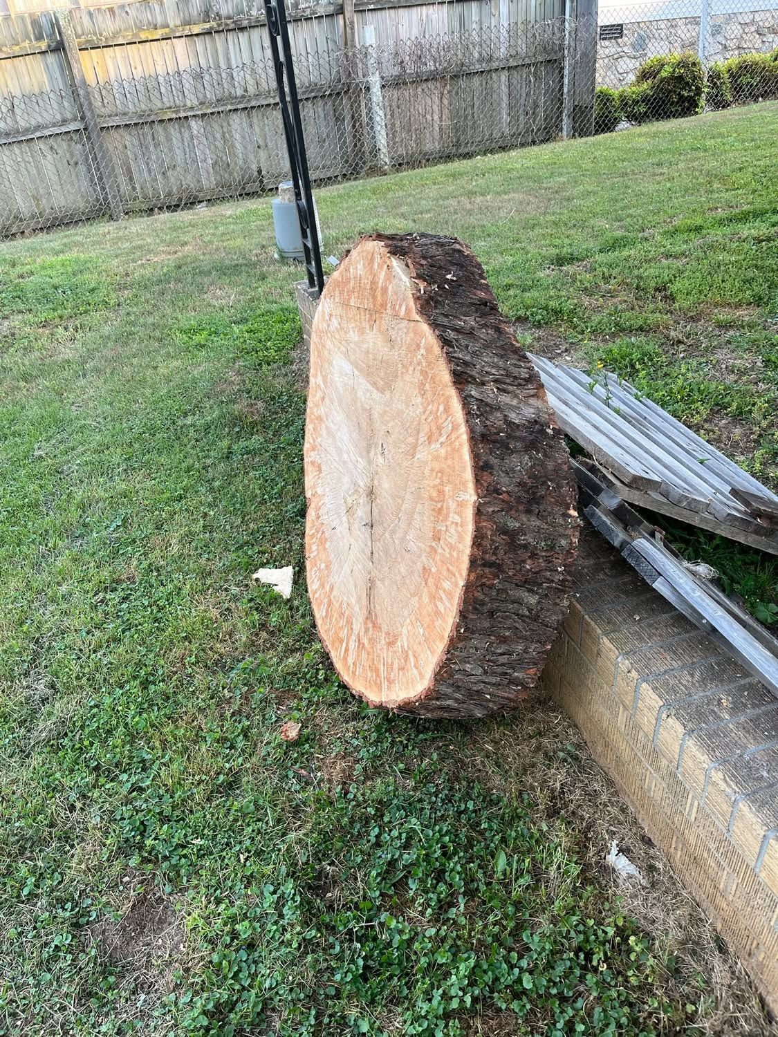Large cut tree log section leaning beside a curb on grass, with a chain-link fence in the background.