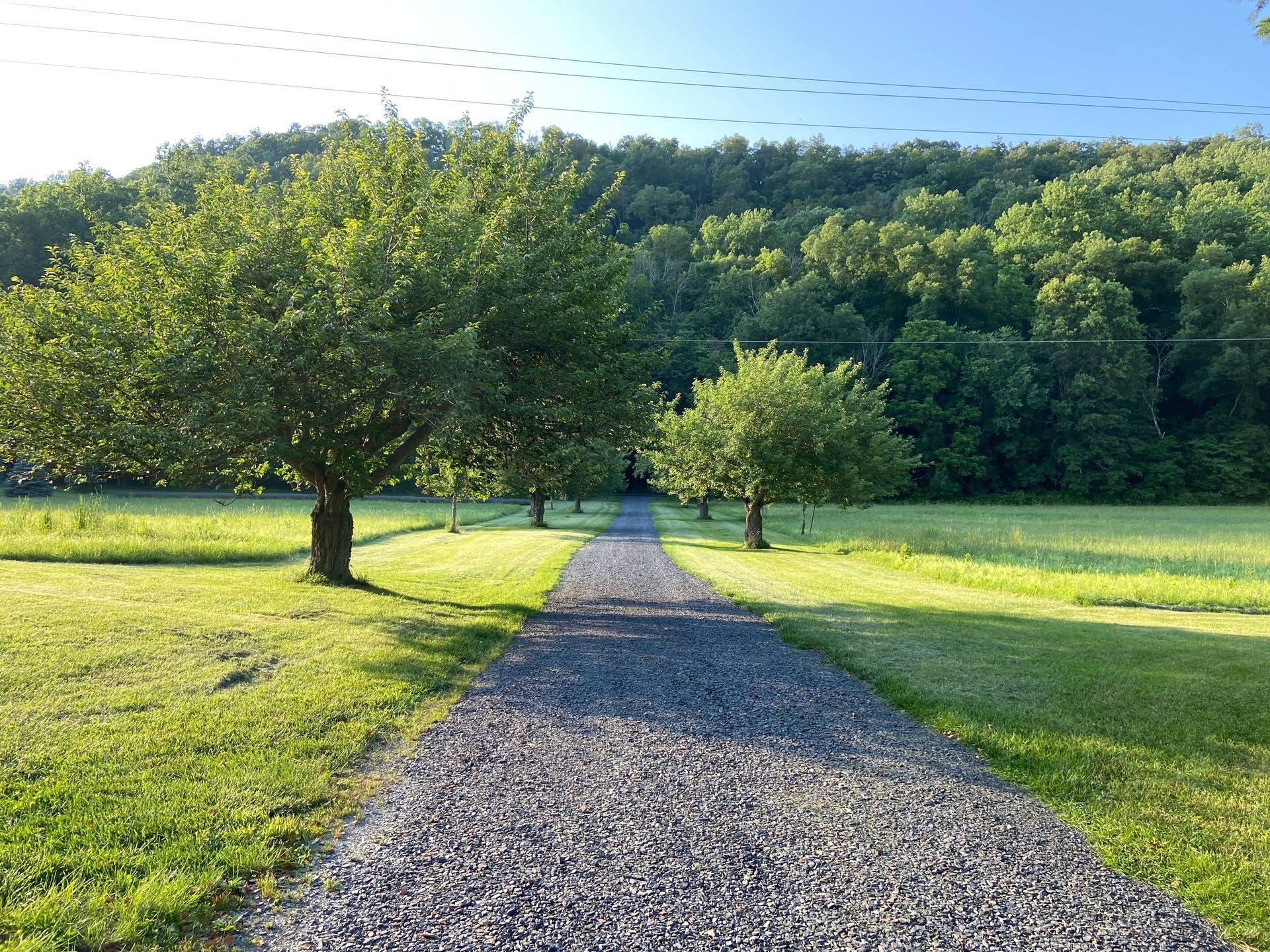 Gravel path through a sunny green park, lined with trees and leading toward a wooded hillside.