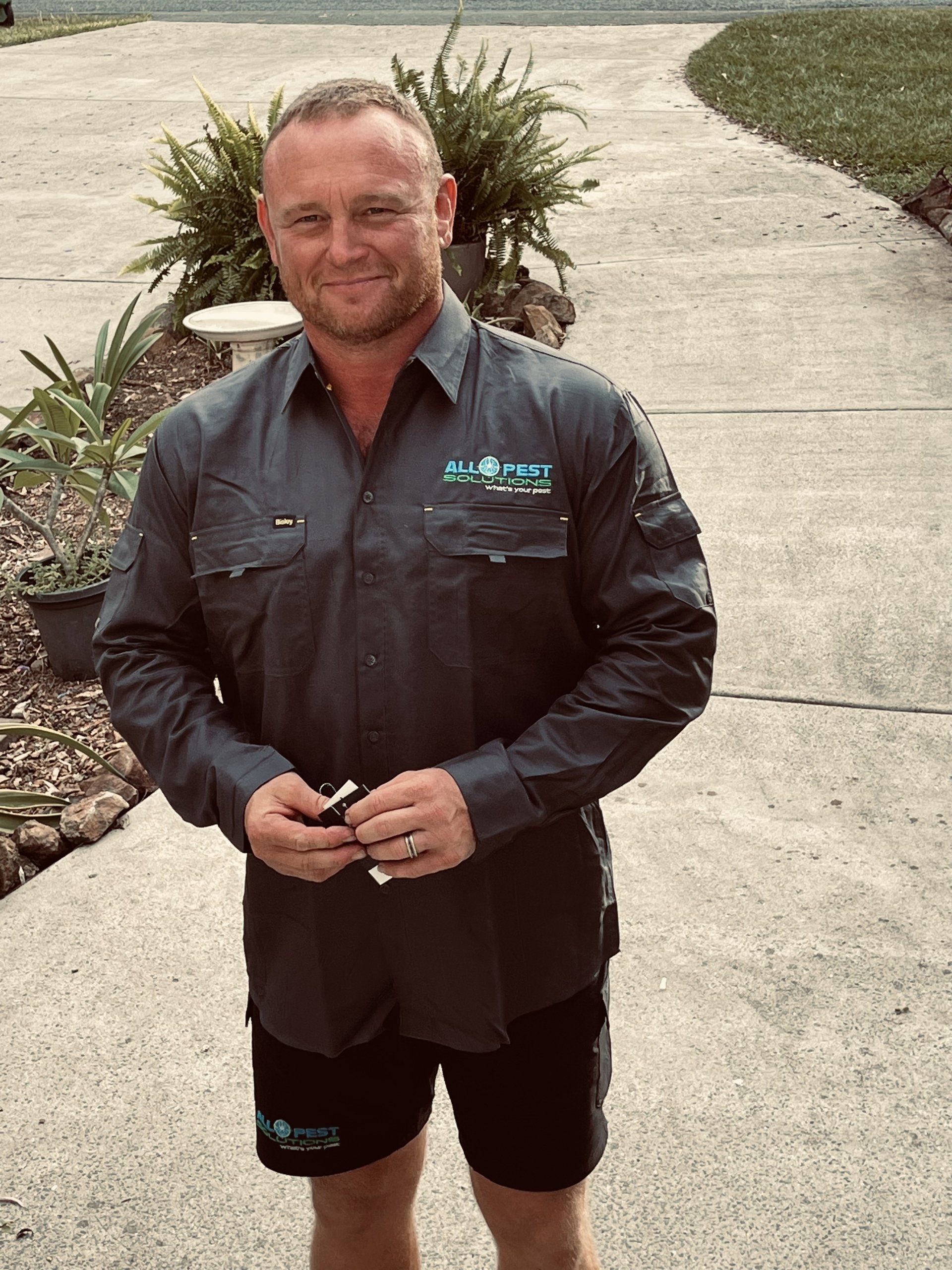 Pest Control Brisbane, QLD All Pest Solutions