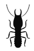 Silhouette of a termite with a large head, antennae, six legs, and a segmented body.
