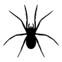 Silhouette of a spider with eight legs, viewed from above, against a white background.
