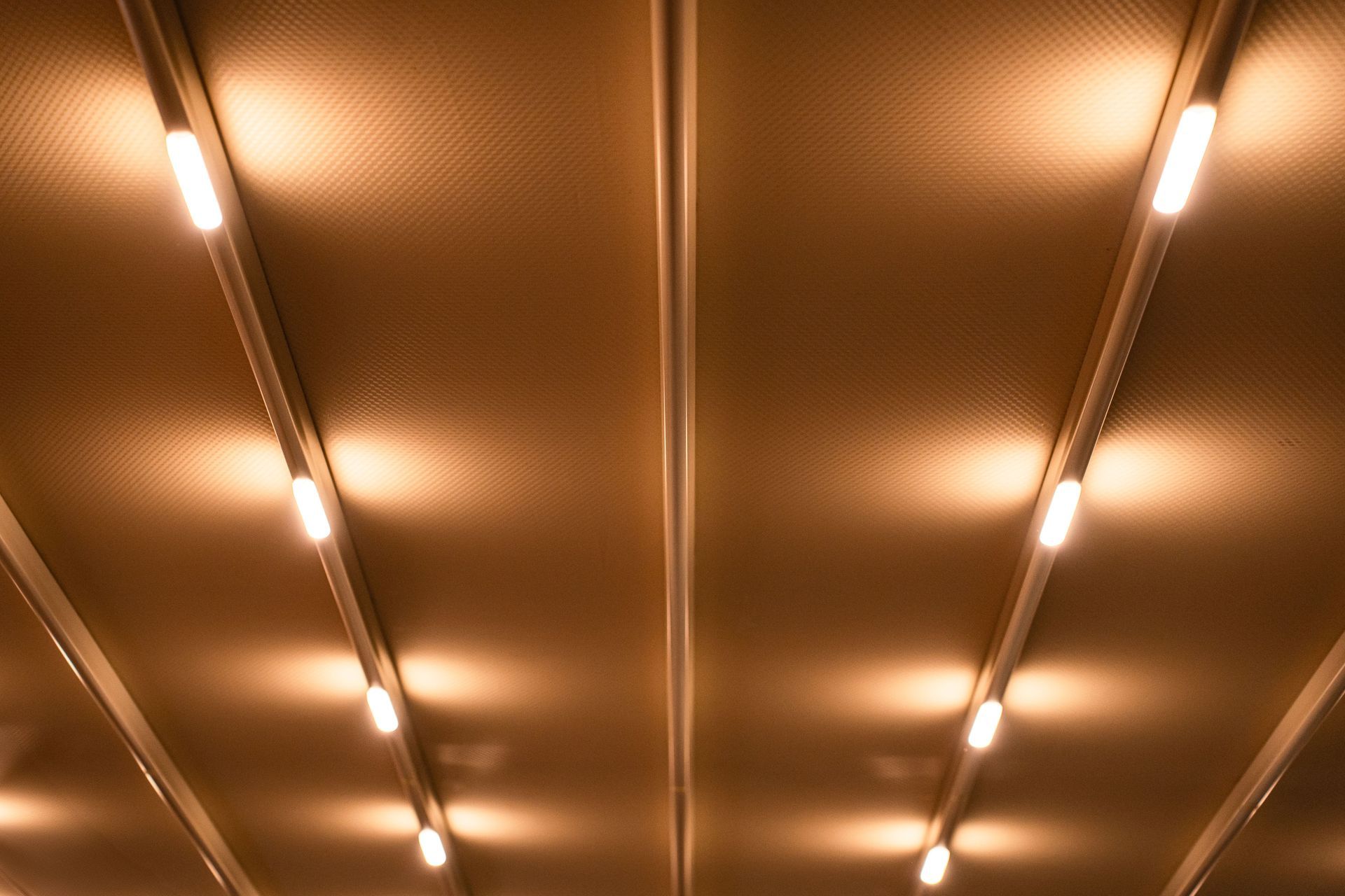 Ceiling with rows of warm, glowing lights in a tunnel-like interior