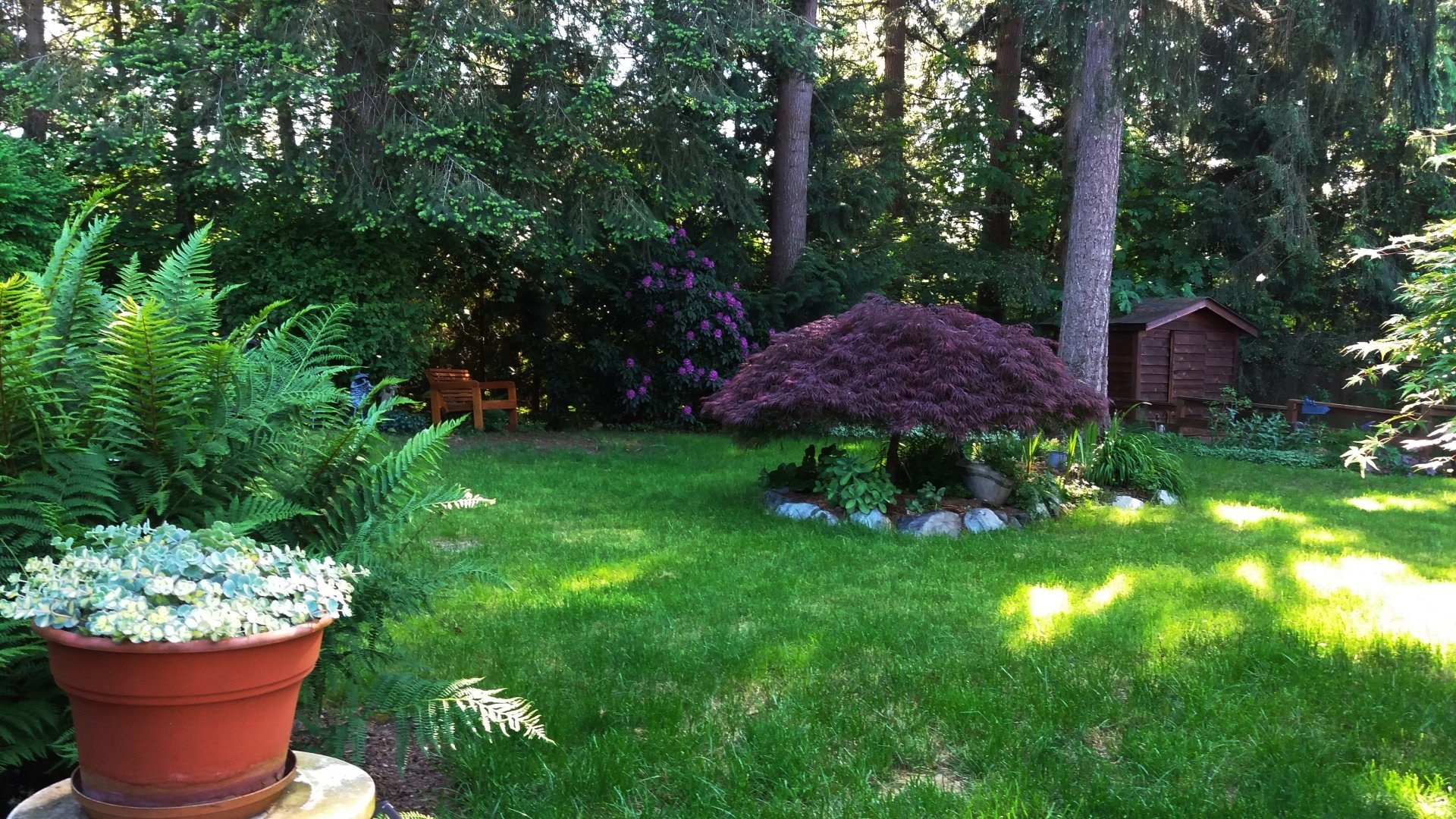 Yorba Landscaping Landscapers, Pavers, Yorba Linda