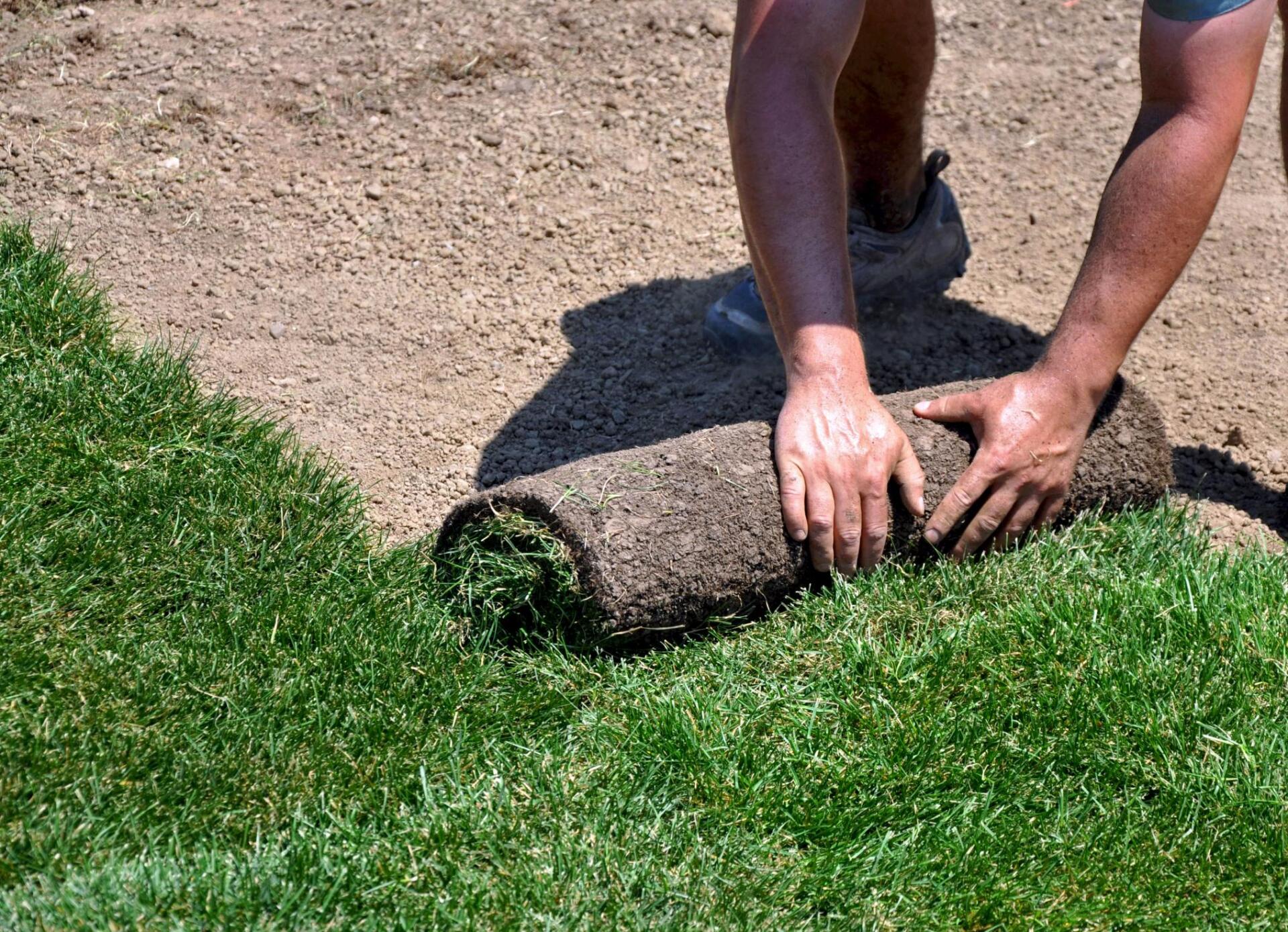 Sod Installation near Yorba Linda California. Worker unrolls sod on to pre-treated ground in local residence