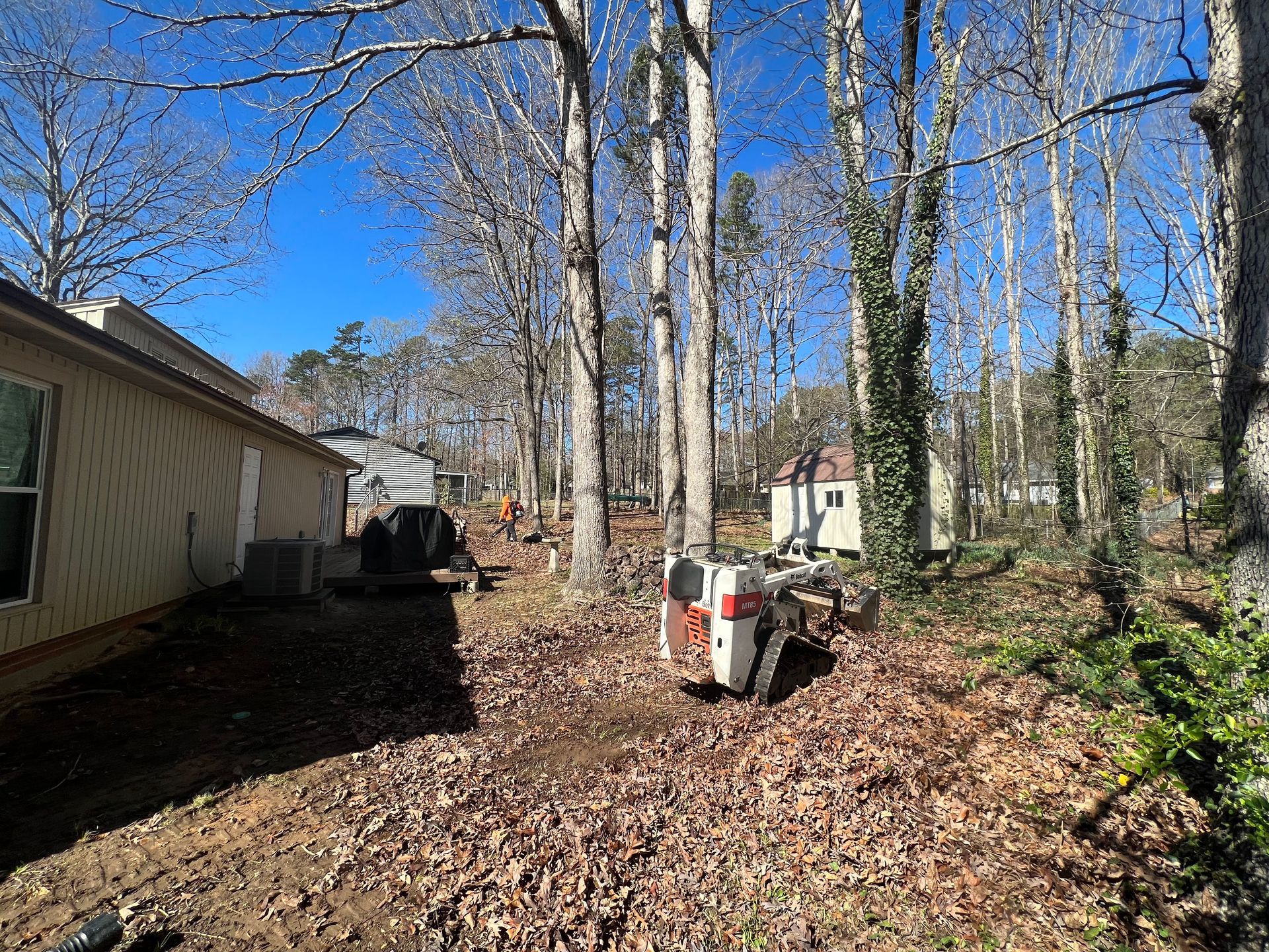 Leaf-covered yard beside a beige house, with tall bare trees and a small utility trailer in bright sunlight