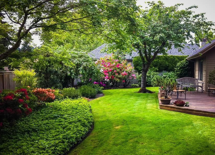 Lush green backyard garden with flowering shrubs, a lawn, and a wooden patio beside a house