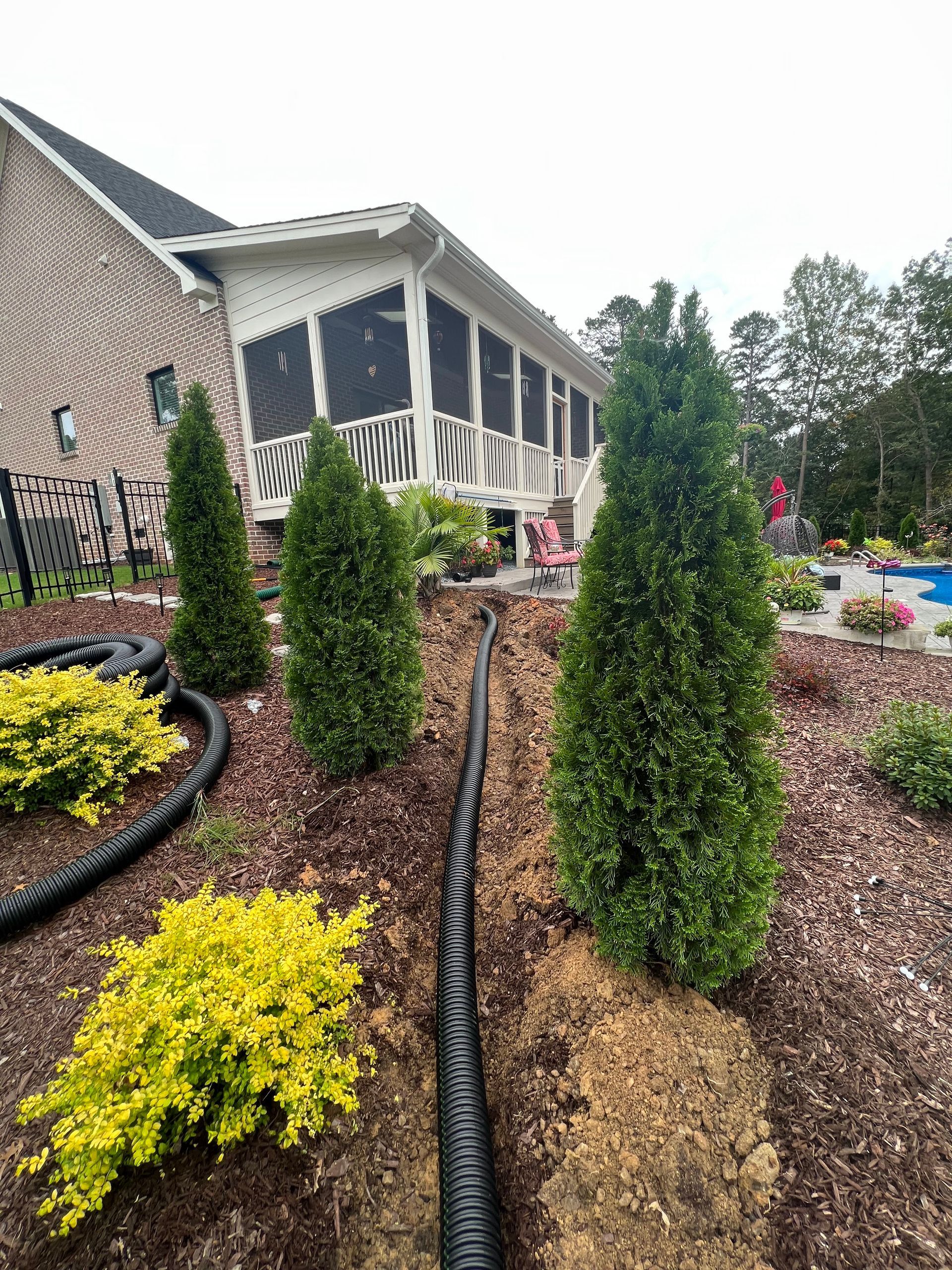Landscaped garden beds with evergreen shrubs beside a house and walkway
