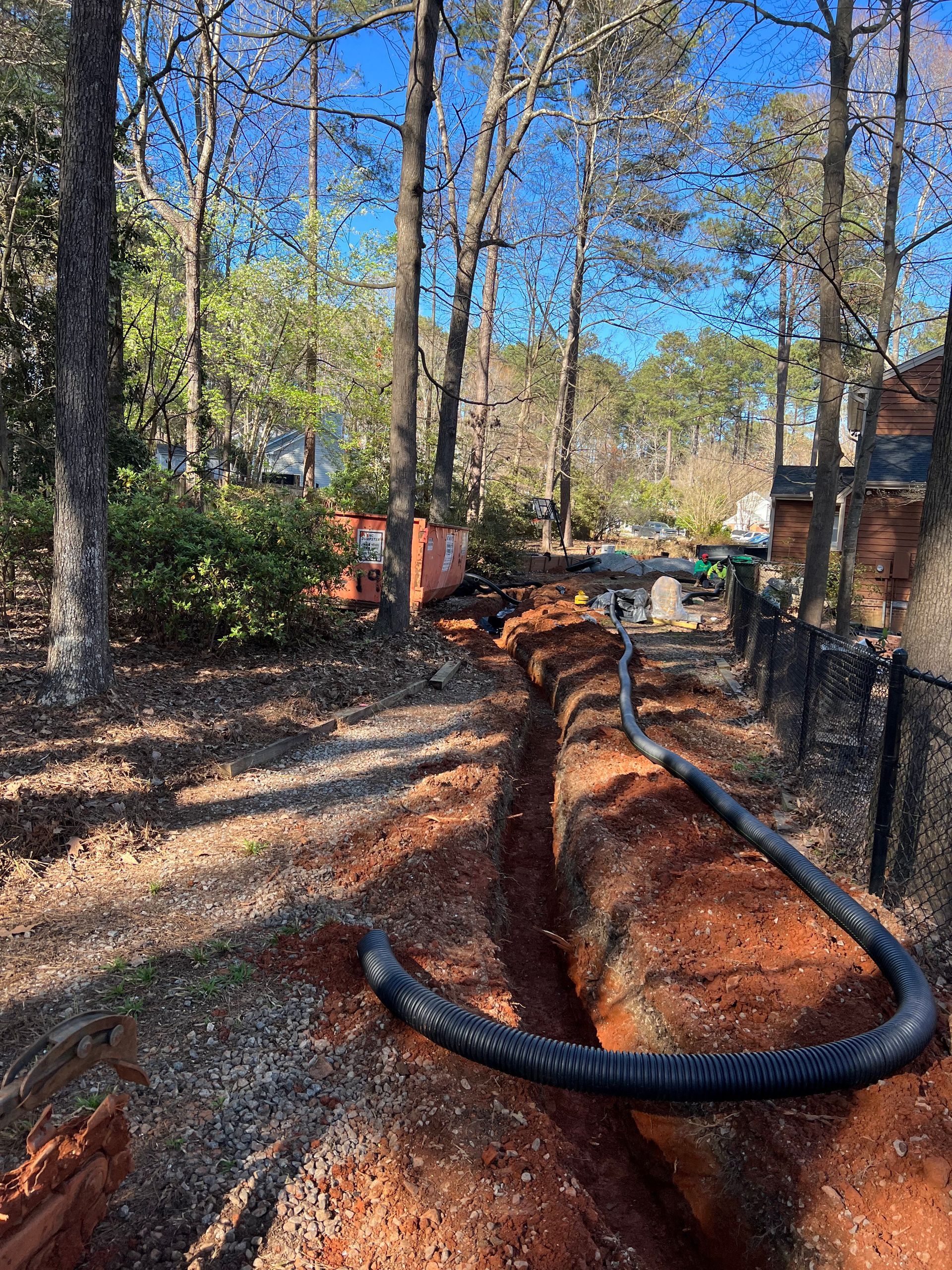 Wooded path with mulch trail, black hose or pipe, and tall trees under bright blue sky.