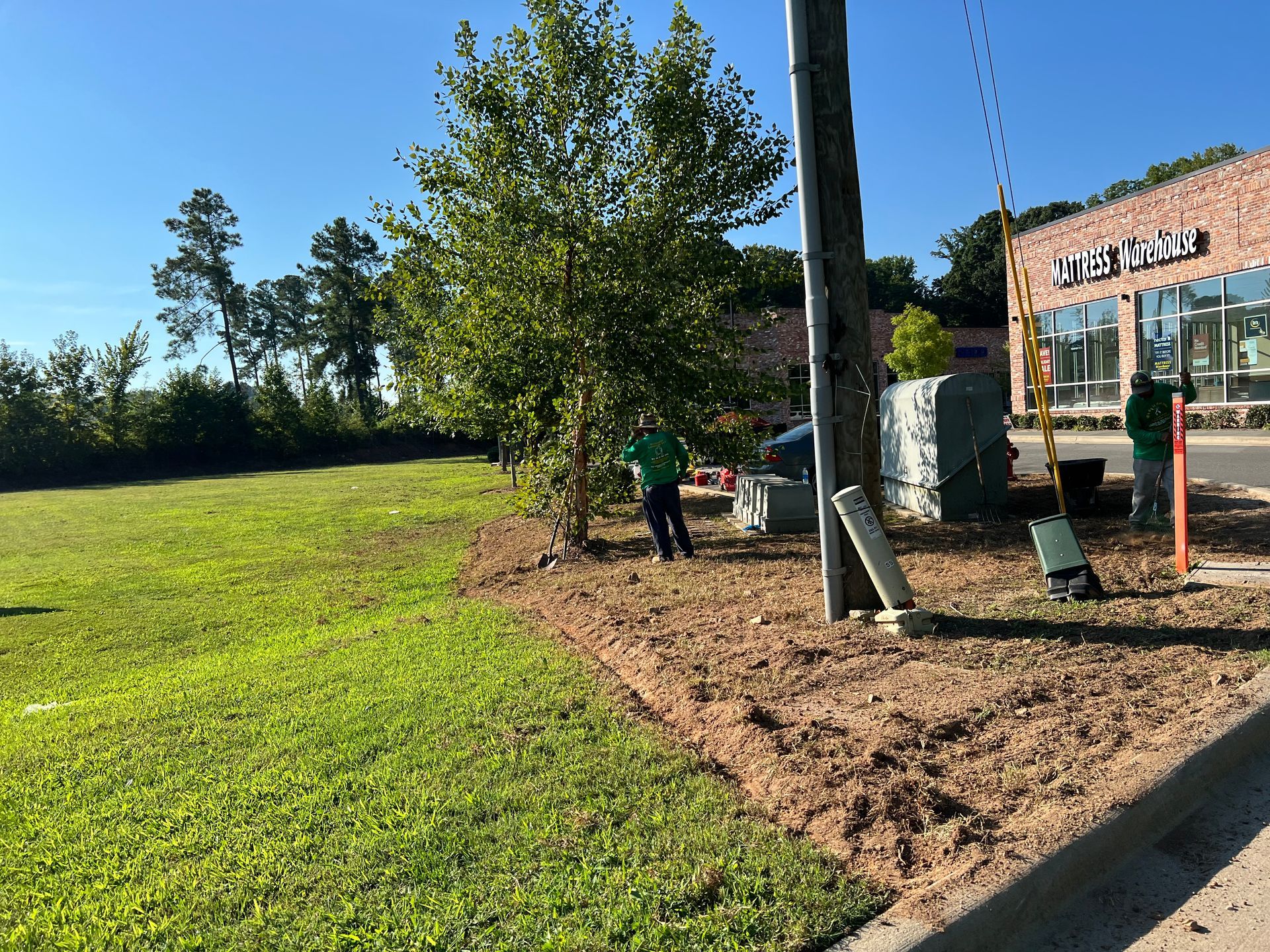 Landscaped lawn beside a brick building, with a worker near a tree and utility pole.