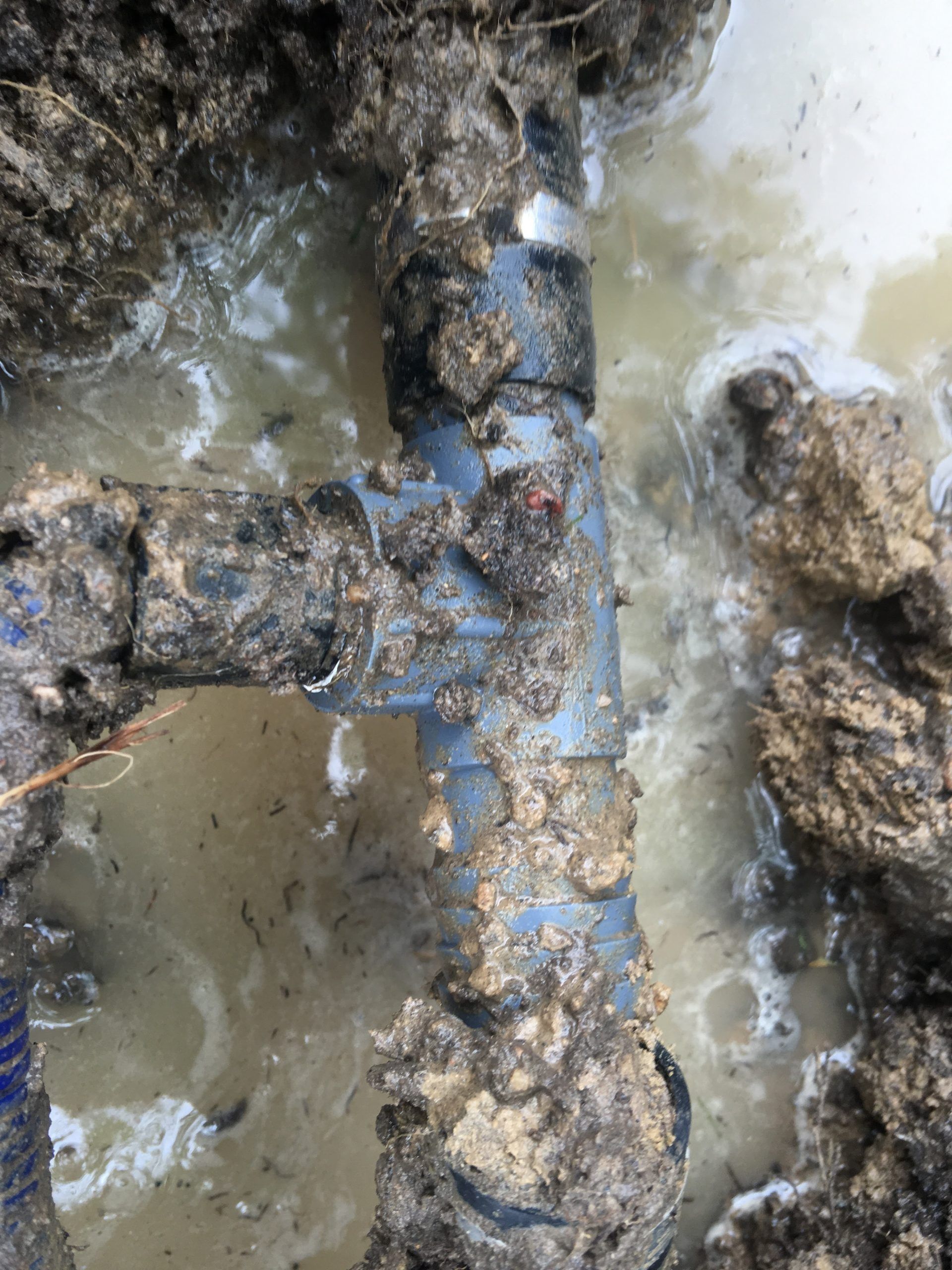 Mud-covered grey PVC pipe T-fitting with attached pipes in a trench filled with muddy water.