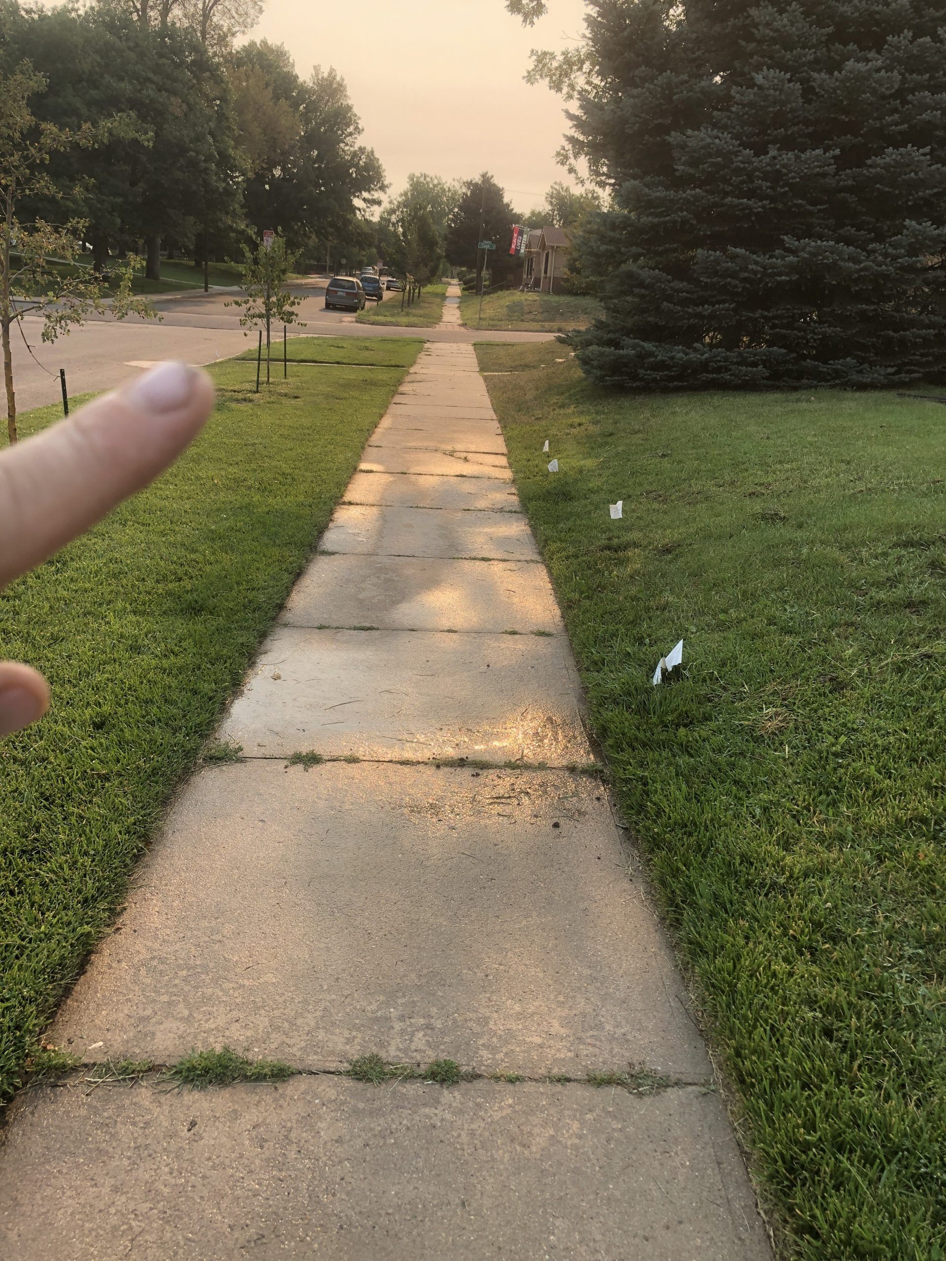 A first-person perspective of a concrete sidewalk leading into a tree-lined residential street at sunset.