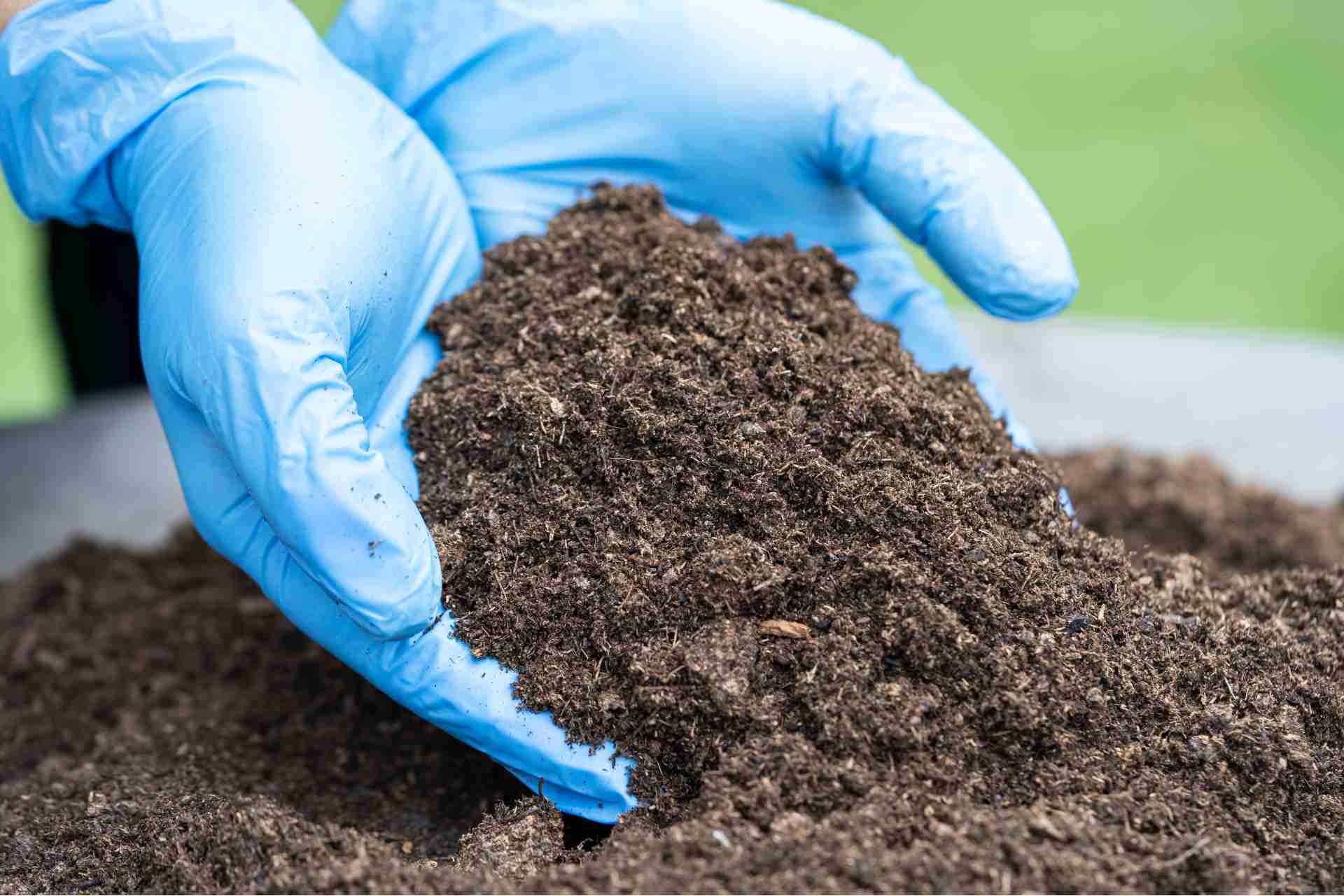 Healthy Lawn Full Website (Copy, 234 selected)