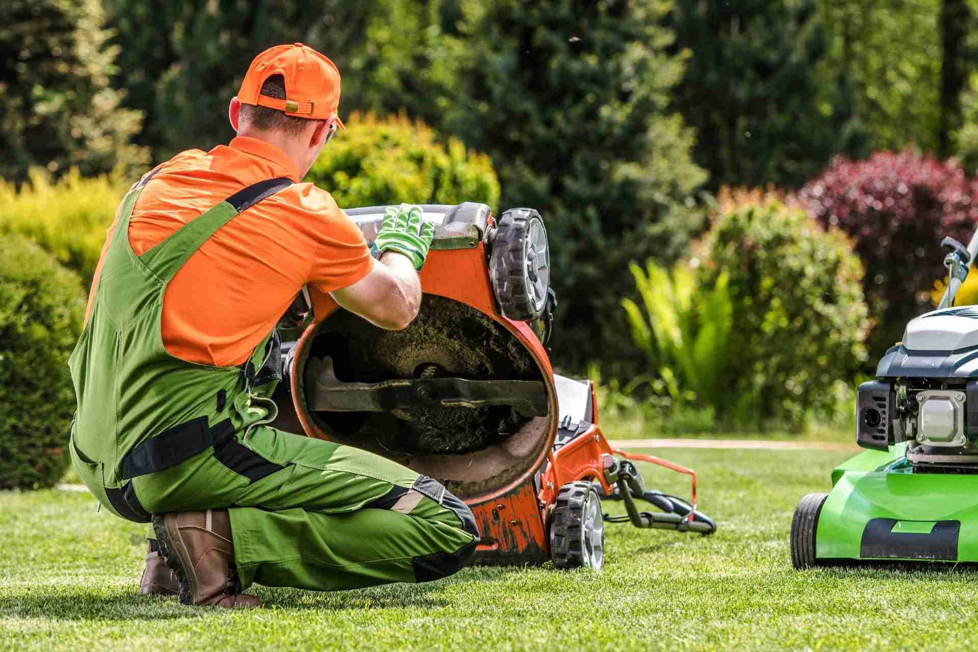 5 Benefits of Lawn Care Services for Your Home