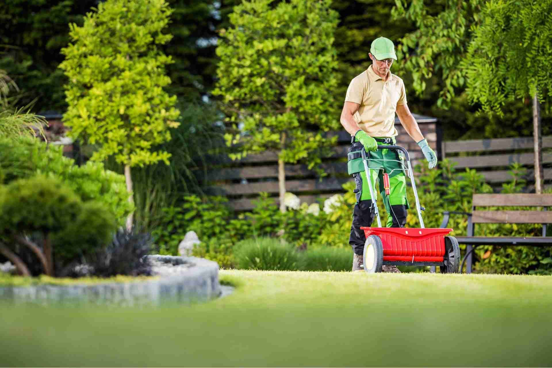5 Must-Try Lawn Care Services for a Lush Lawn