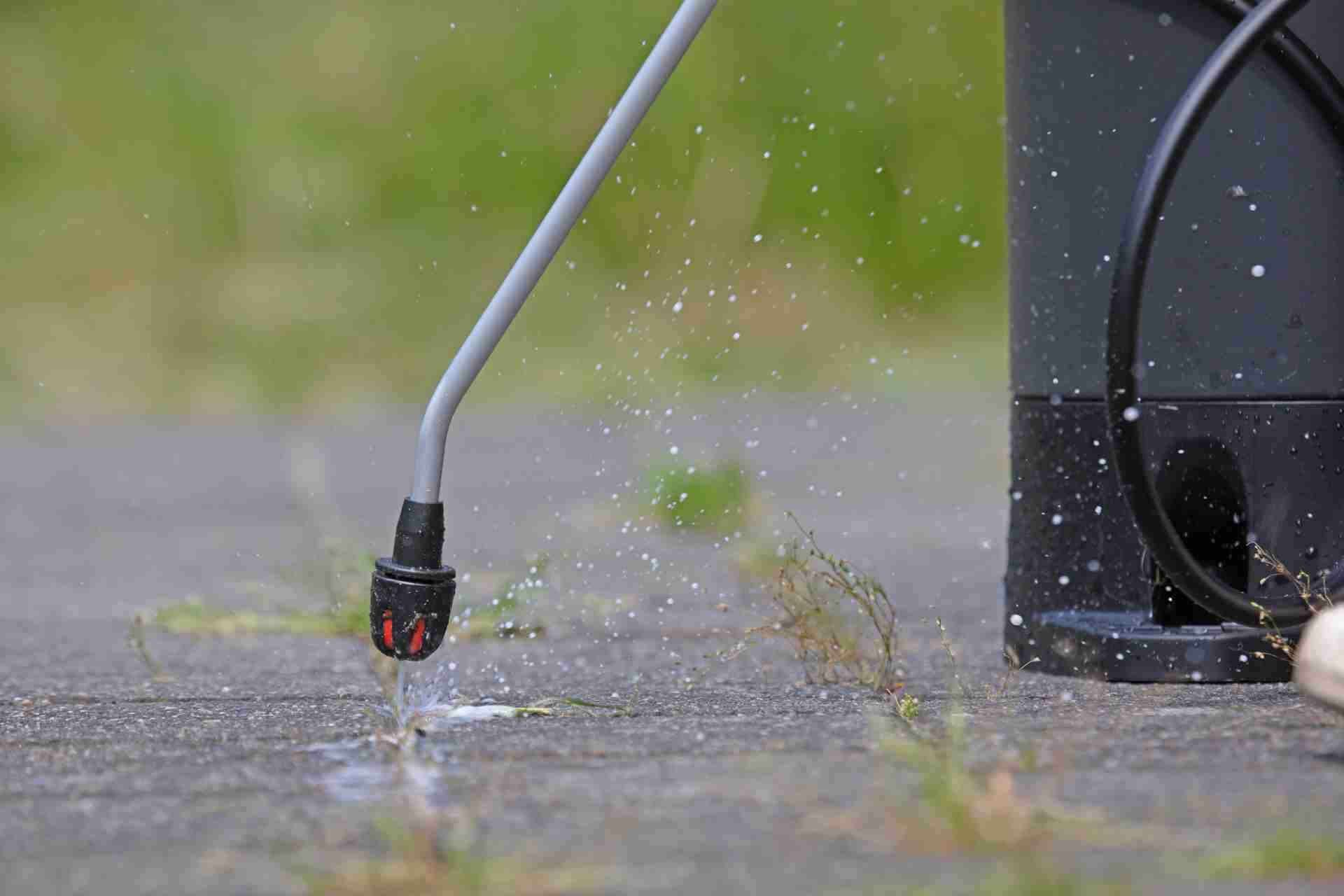 natural weed killers